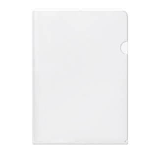 ���� ���� L�� Ȧ�� 0.16T